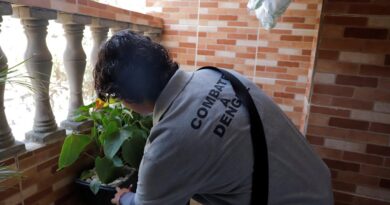 Mutirão de combate à dengue acontece no Parque Imperial e no Jardim São Silvestre neste sábado (28)