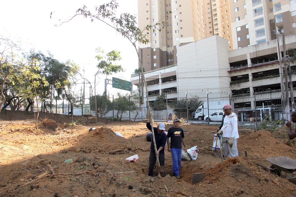 Sema inicia plantio de árvores no parque Dom José nesta segunda