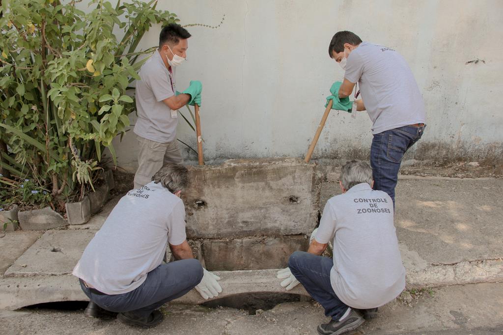 Chuvas e pandemia são novos desafios no combate da dengue em Barueri