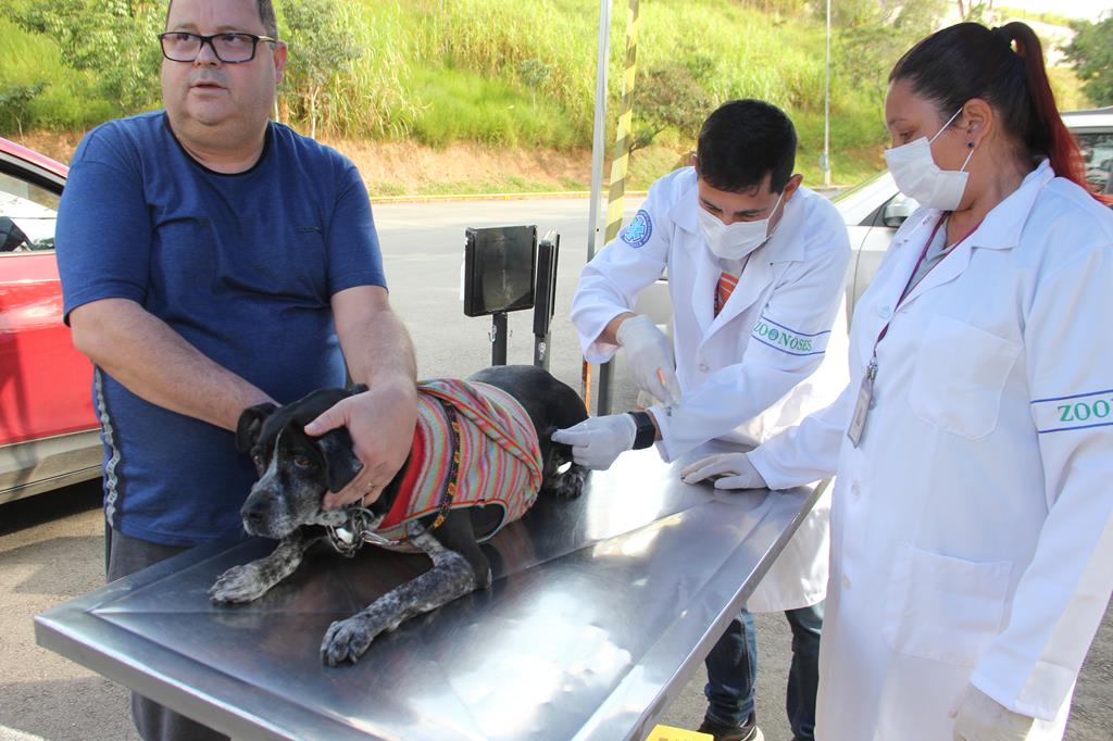 Barueri abre agenda para vacinação antirrábica de julho