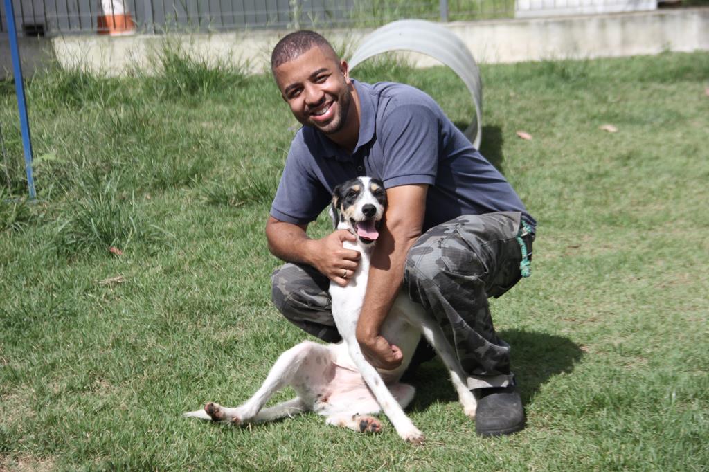 Adota Delivery de Barueri já encontrou um lar para 523 pets desde que foi criado
