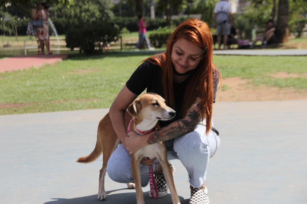 Barueri: Cepad promove Feira de Adoção Especial de Pets no dia 11