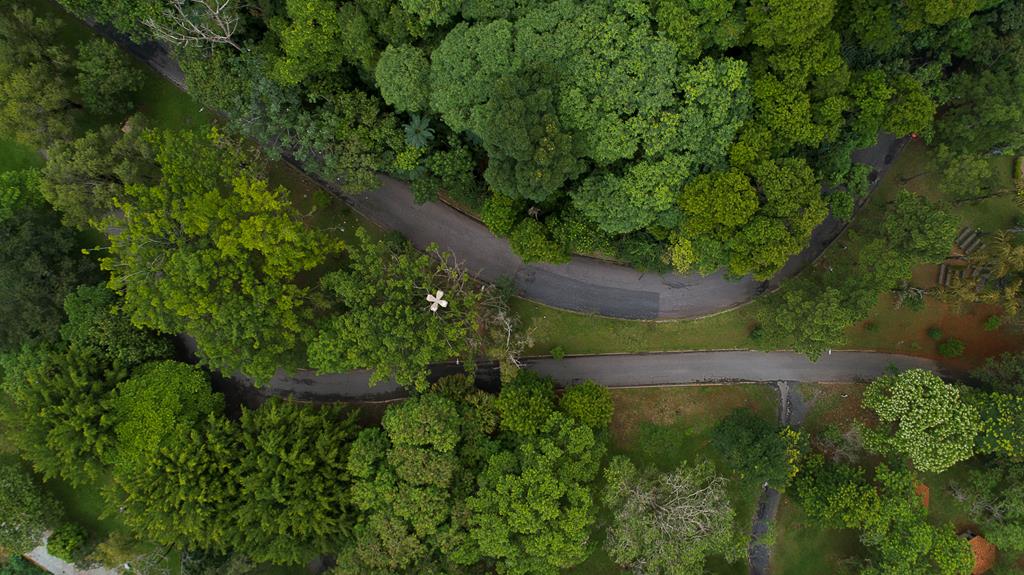 Plataforma avalia Barueri como a cidade mais sustentável e inovadora do Brasil