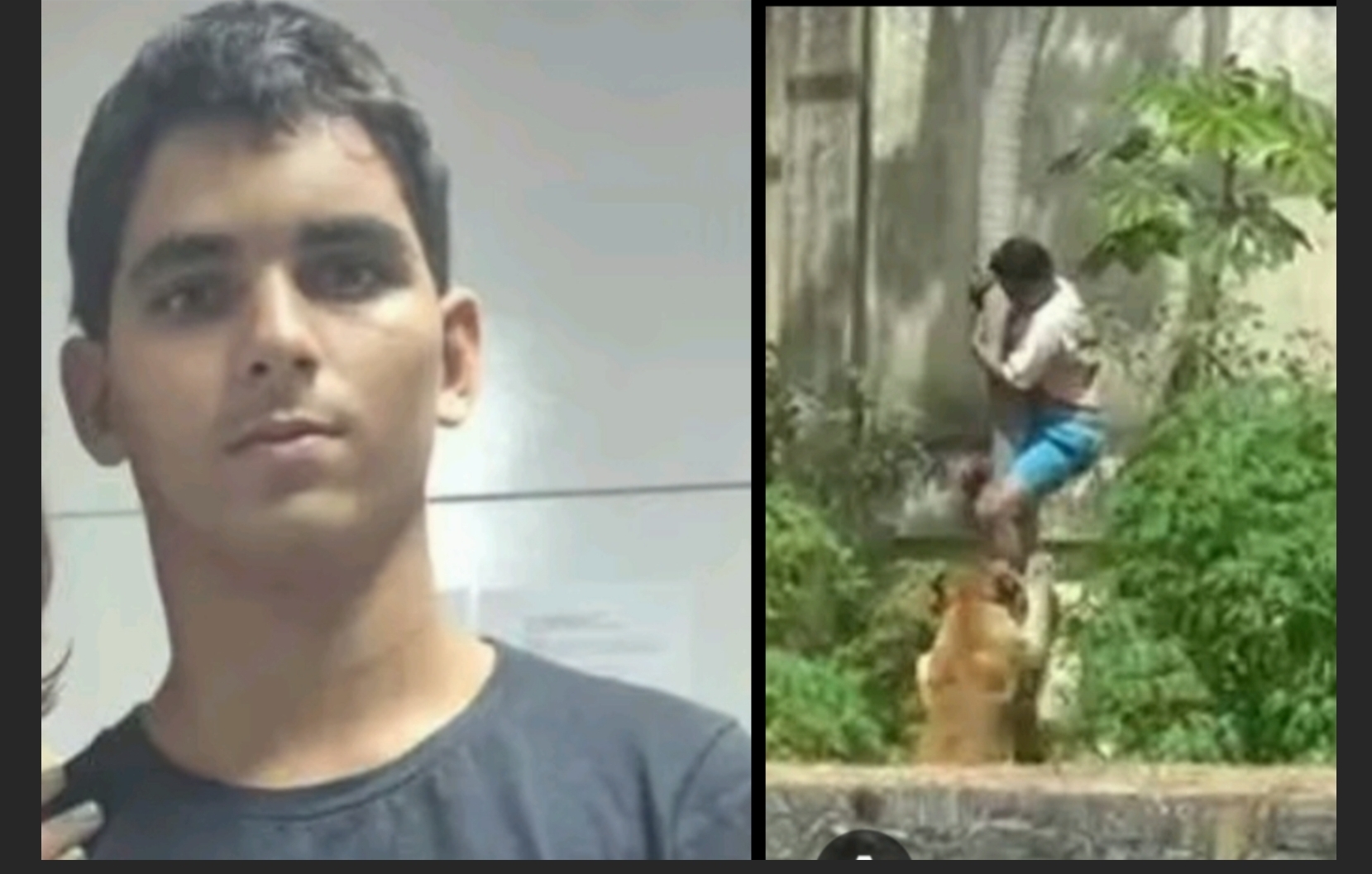 Polícia revela o que teria motivado jovem a entrar na jaula de leoa em zoológico de João Pessoa
