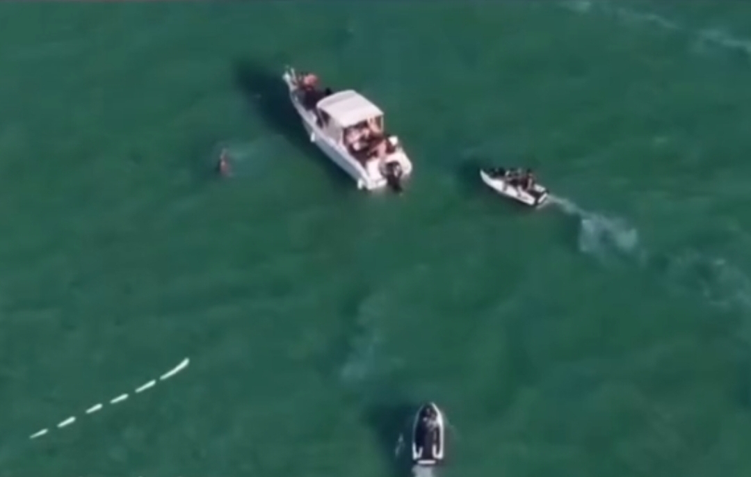 VÍDEO: Prisão cinematográfica em alto mar