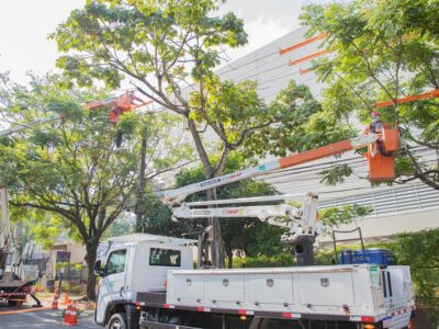 Barueri e Enel iniciam projeto para substituir árvores com risco de queda e reforçar segurança urbana