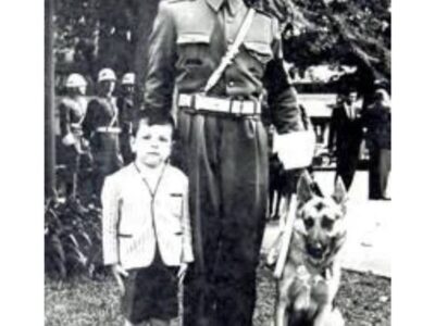 A história do cão rejeitado que virou herói