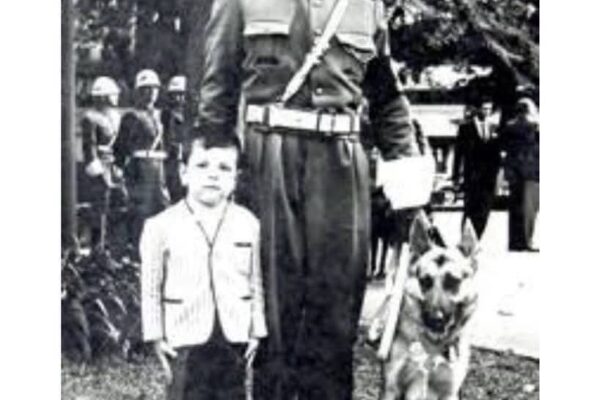 A história do cão rejeitado que virou herói