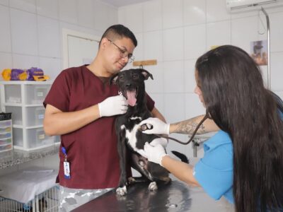 Prefeitura oferece atendimento veterinário gratuito neste sábado (22) para tutores do Jardim Belval
