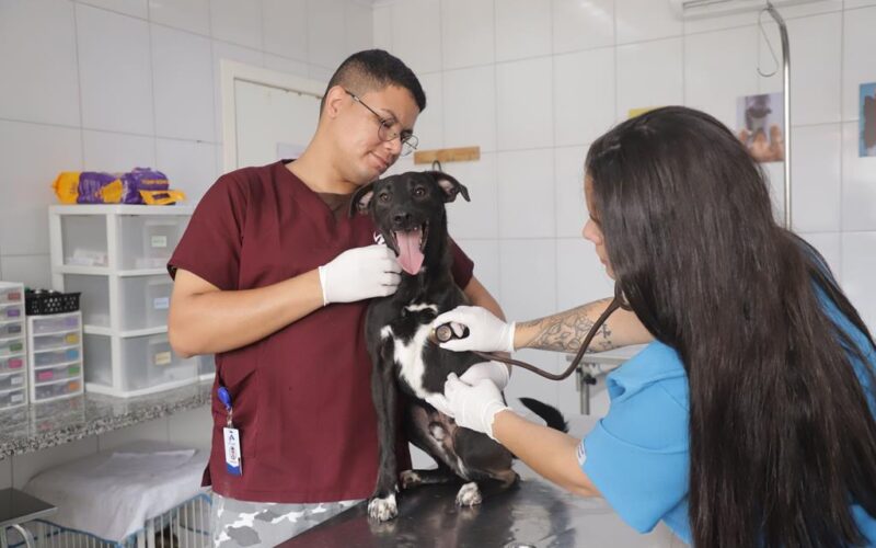 Prefeitura oferece atendimento veterinário gratuito neste sábado (22) para tutores do Jardim Belval
