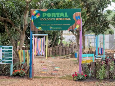 Viveiro Municipal Curupira será ponto de troca permanente de lâmpadas antigas por LED